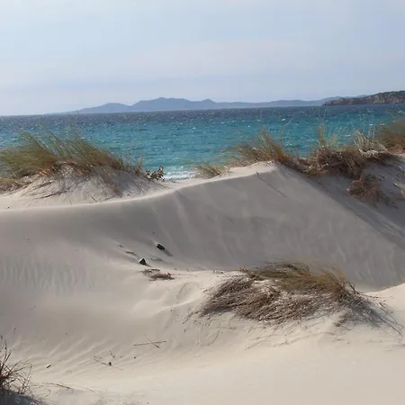 Tommy House Апартаменты