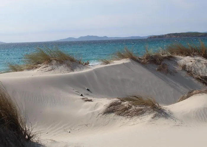 Tommy House Апартаменты