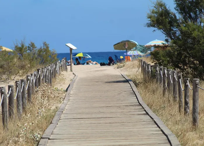 Tommy House * Калазетта