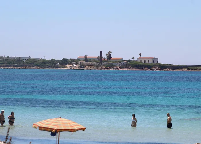 Tommy House Calasetta