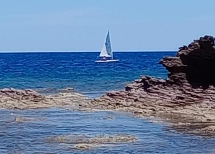 Apartamento Tommy House *